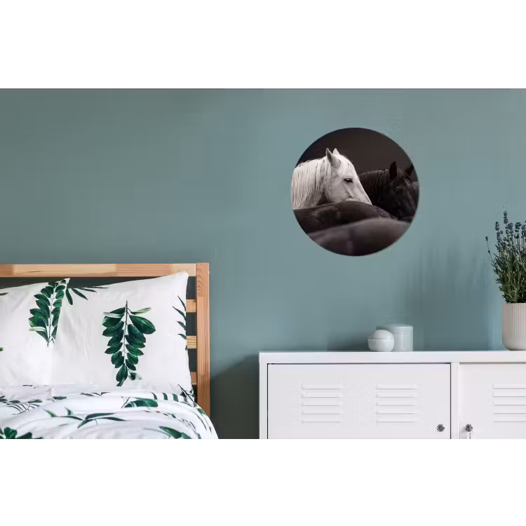 Paarden - Zwart - Wit - Kudde Wandcirkel aluminium klein -slaapkamer