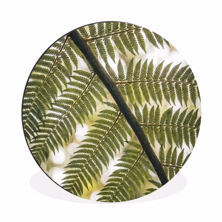 Plant - Blad - Natuur - Groen - Detail Wandcirkel aluminium klein -3d