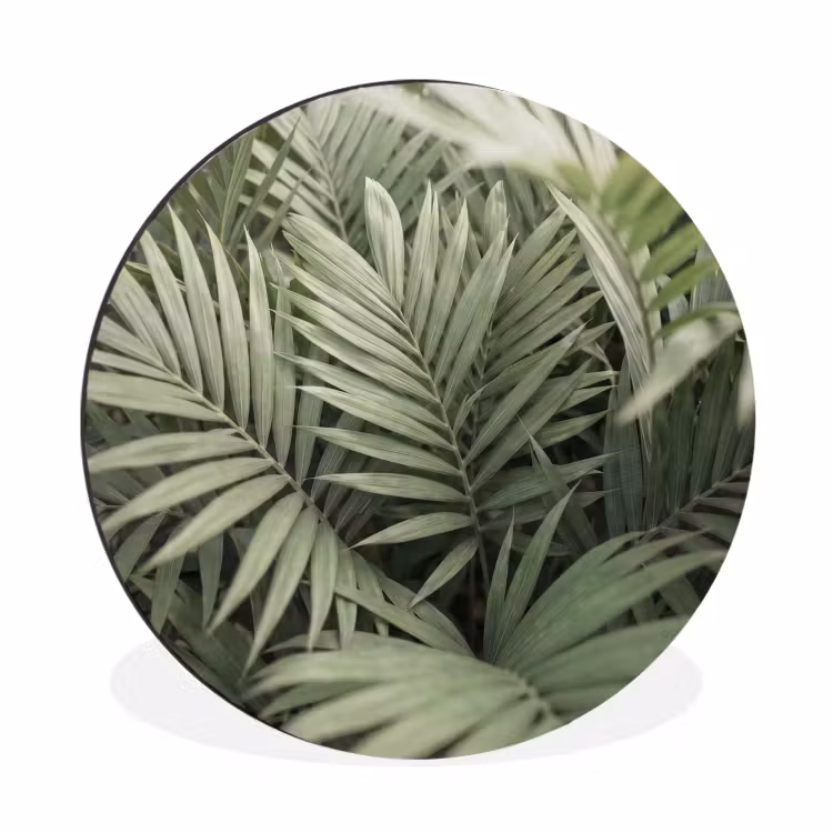 Plant - Palmbladeren - Natuur - Groen Wandcirkel aluminium klein -3d