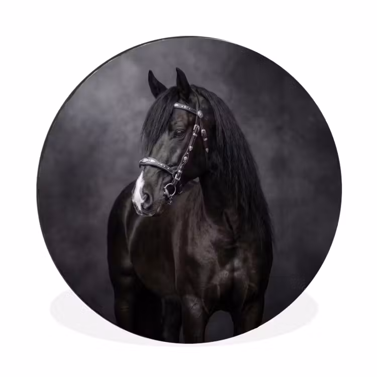 Portret - Paard - Zwart Wandcirkel aluminium klein -3d
