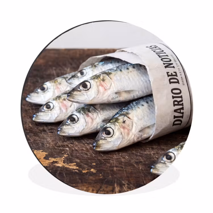 Alu-Dibond-Bild Rund - Sardine – Zeitung – Schneidebrett - Sardientje - krant - snijplank Wandcirkel aluminium klein