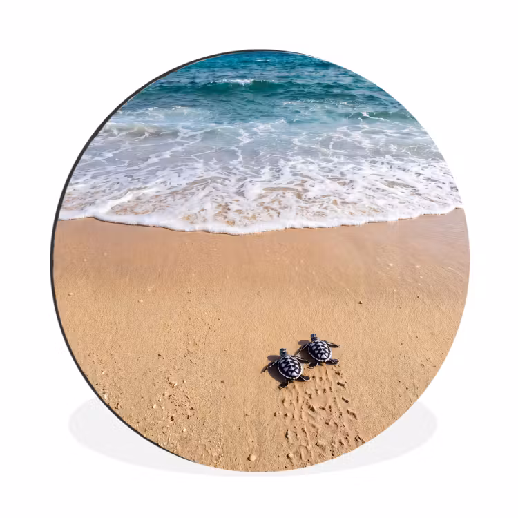 Schildpad - Jong - Strand - Oceaan - Blauw Wandcirkel aluminium klein -3d