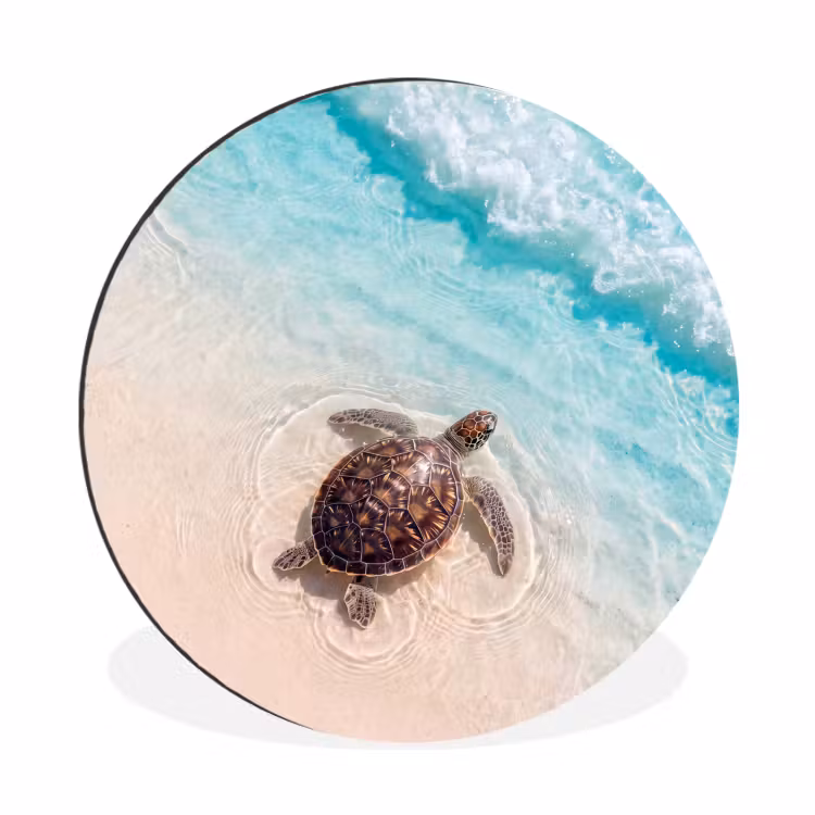 Schildpad - Helder water - Strand - Dieren - Natuur Wandcirkel aluminium klein -3d