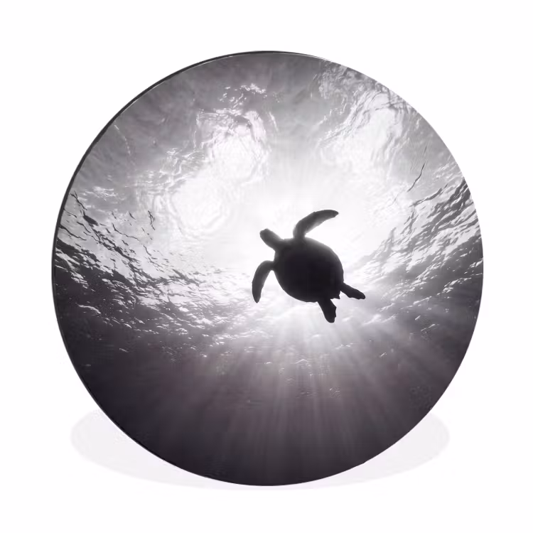 Schildpad - Onderwater - Lichtstralen - Oceaan - Zwart-wit Wandcirkel aluminium klein -3d
