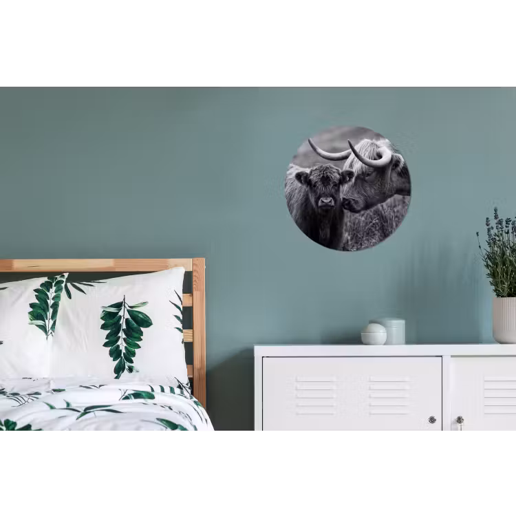 Schotse hooglander - Kalf - Zwart - Wit Wandcirkel aluminium klein -slaapkamer