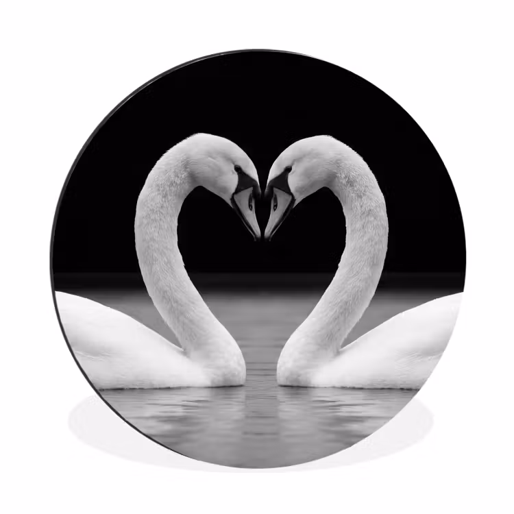 Zwanen - Hart - Zwart - Wit Wandcirkel aluminium klein -3d