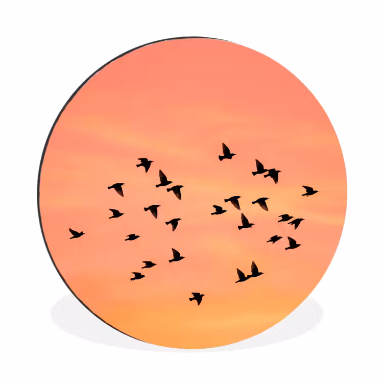 Zwerm - Vogels - Oranje Wandcirkel aluminium klein -3d