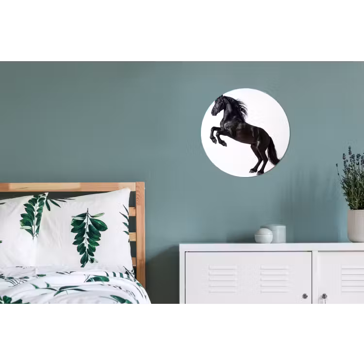 Zwart - Paard - Portret Wandcirkel aluminium klein -slaapkamer