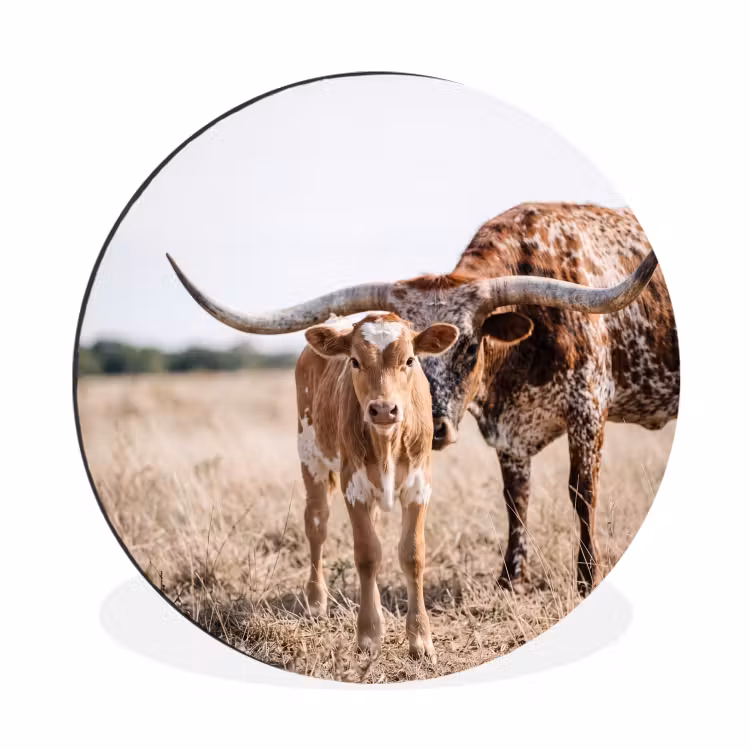 Texas Longhorn - Kalf - Weide - Dieren Wandcirkel aluminium klein -3d