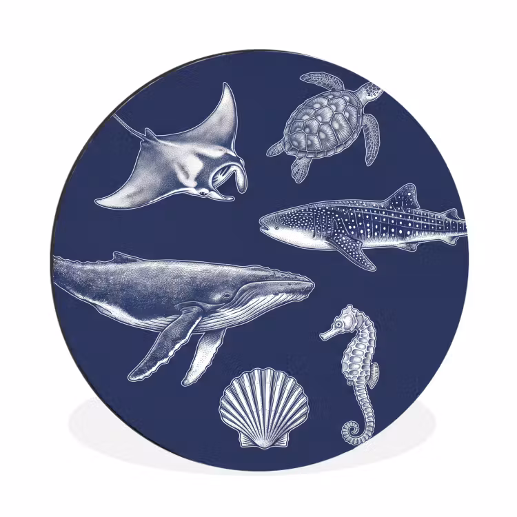 Dieren - Zeeleven - Oceaan - Graveren - Blauw Wandcirkel aluminium klein -3d