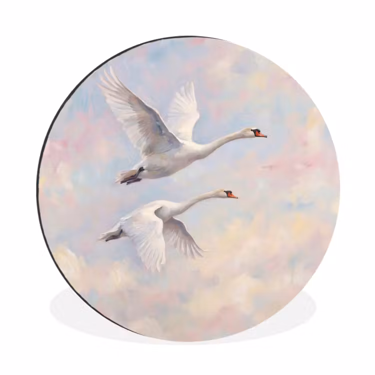Vogel - Vliegend - Lucht - Modern - Pastel Wandcirkel aluminium klein -3d