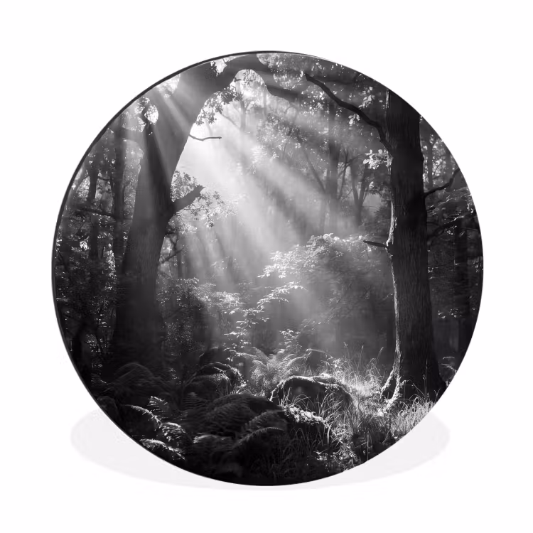 Bos - Lichtstralen - Natuur - Zwart-wit Wandcirkel aluminium klein -3d