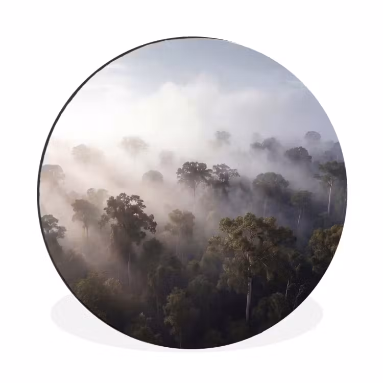 Bos - Mist - Natuur - Groen Wandcirkel aluminium klein -3d