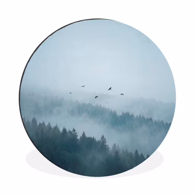 Bos - Mist - Vogels - Natuur - Groen Wandcirkel aluminium klein -3d