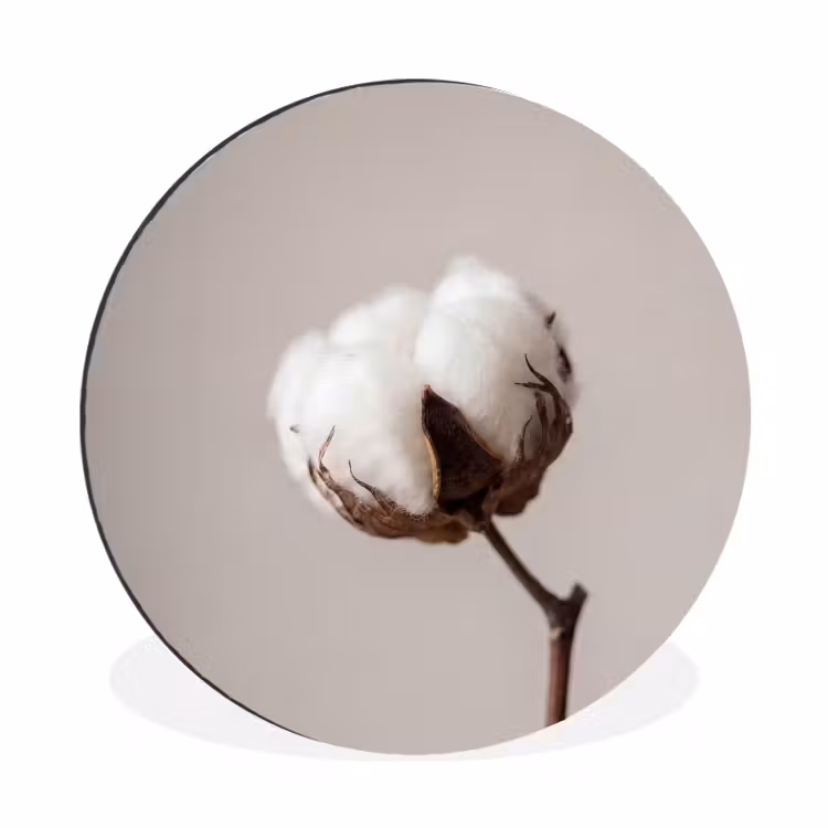 Katoenbol - Minimalistisch - Wit Wandcirkel aluminium klein -3d