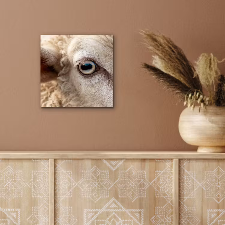 Schaap - Oog - Wit aluminium wit klein -sfeer4