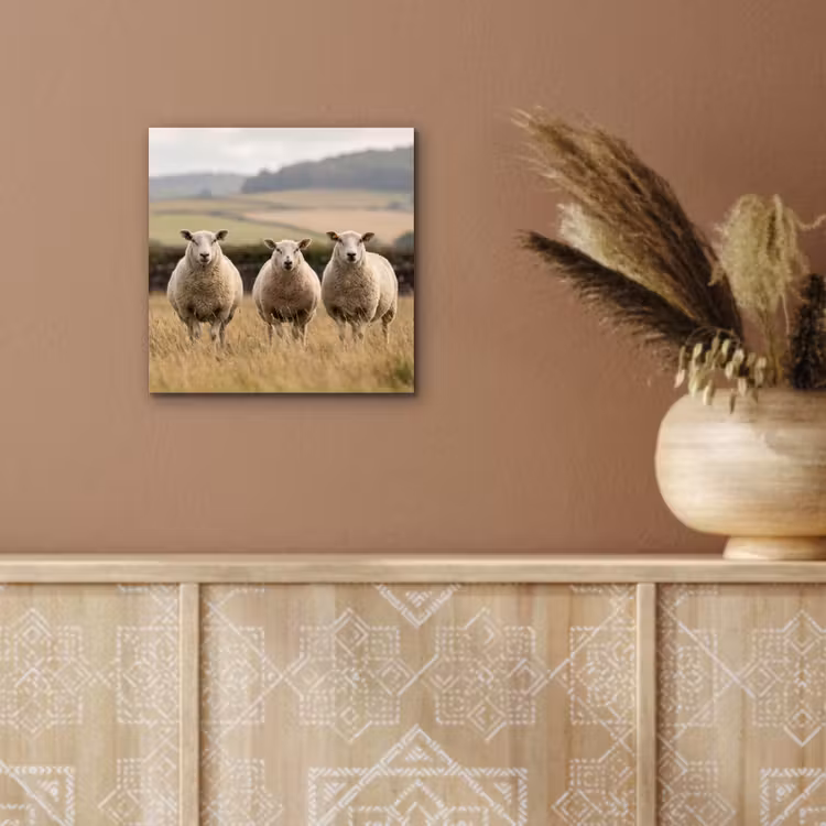 Schapen - Weidenlandschap - Heuvels aluminium wit klein -sfeer4