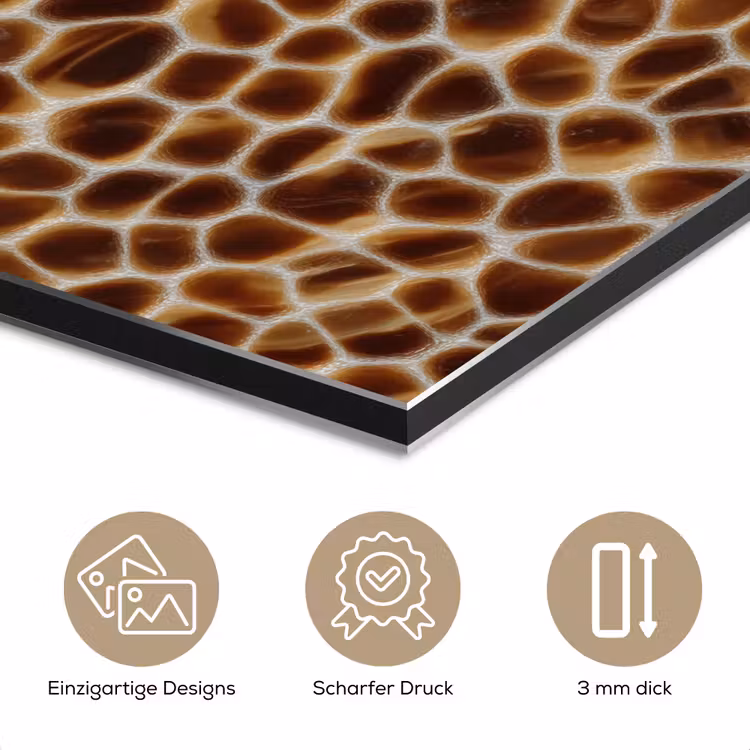 Schildpad - Bruin - Patroon aluminium wit klein 46 -closeup_DE
