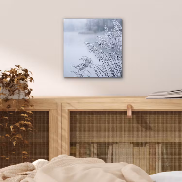 Riet - Bevroren - Winter - Natuur aluminium wit klein -sfeer3