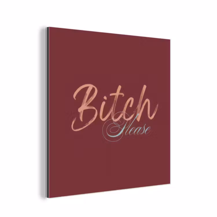 Bitch please - Rood - Blauw aluminium wit klein -3d