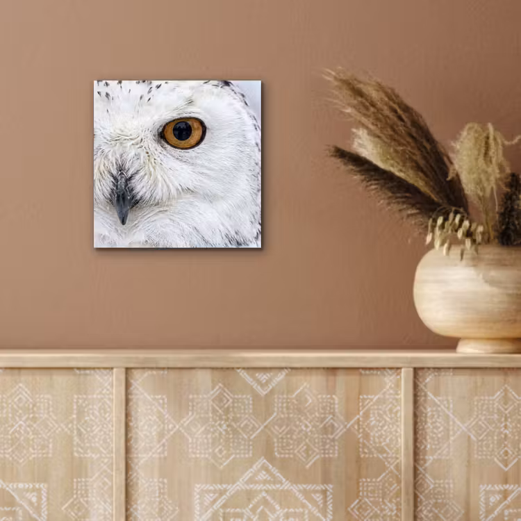 Sneeuwuil - Oog - Wildlife - Wit aluminium wit klein -sfeer4