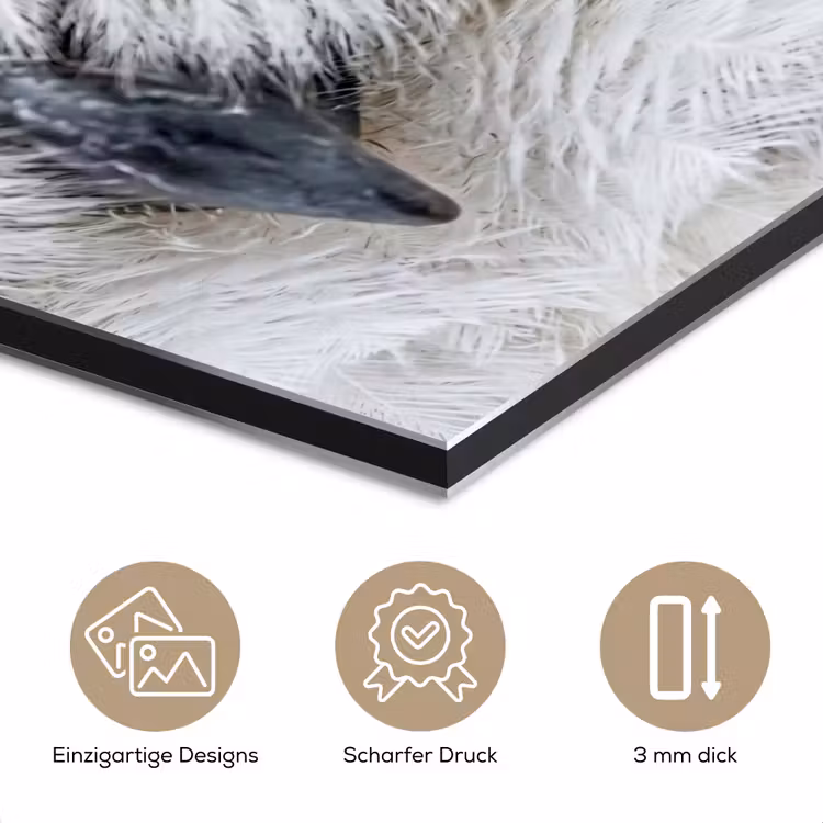 Sneeuwuil - Oog - Wildlife - Wit aluminium wit klein -closeup_DE