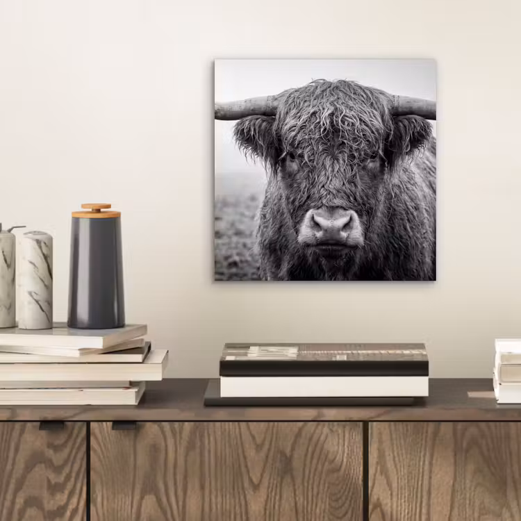 Schotse hooglander - Zwart - Wit - Gras aluminium wit klein -sfeer1