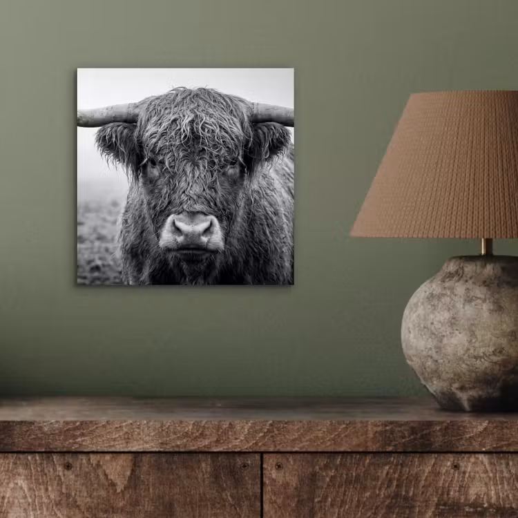 Schotse hooglander - Zwart - Wit - Gras aluminium wit klein -sfeer2