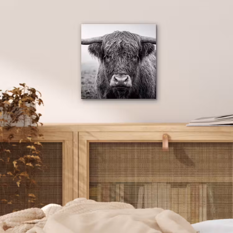 Schotse hooglander - Zwart - Wit - Gras aluminium wit klein -sfeer3