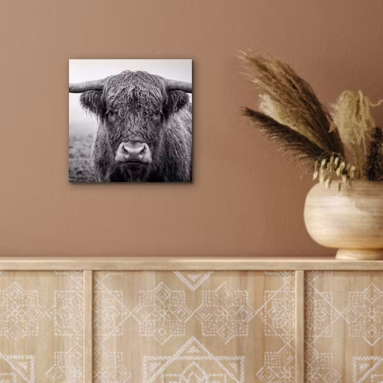 Schotse hooglander - Zwart - Wit - Gras aluminium wit klein -sfeer4