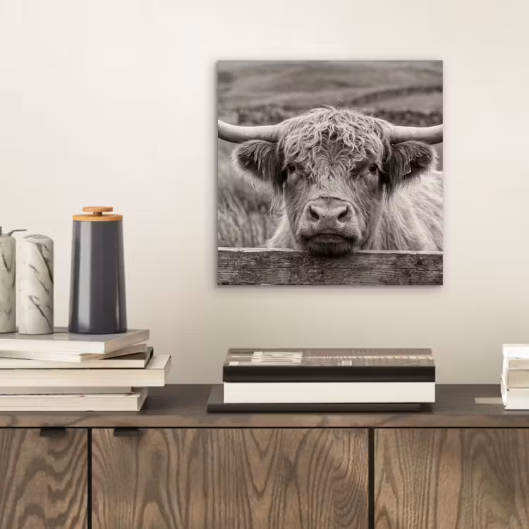 Schotse hooglander - Zwart - Wit - Hout aluminium wit klein -sfeer1