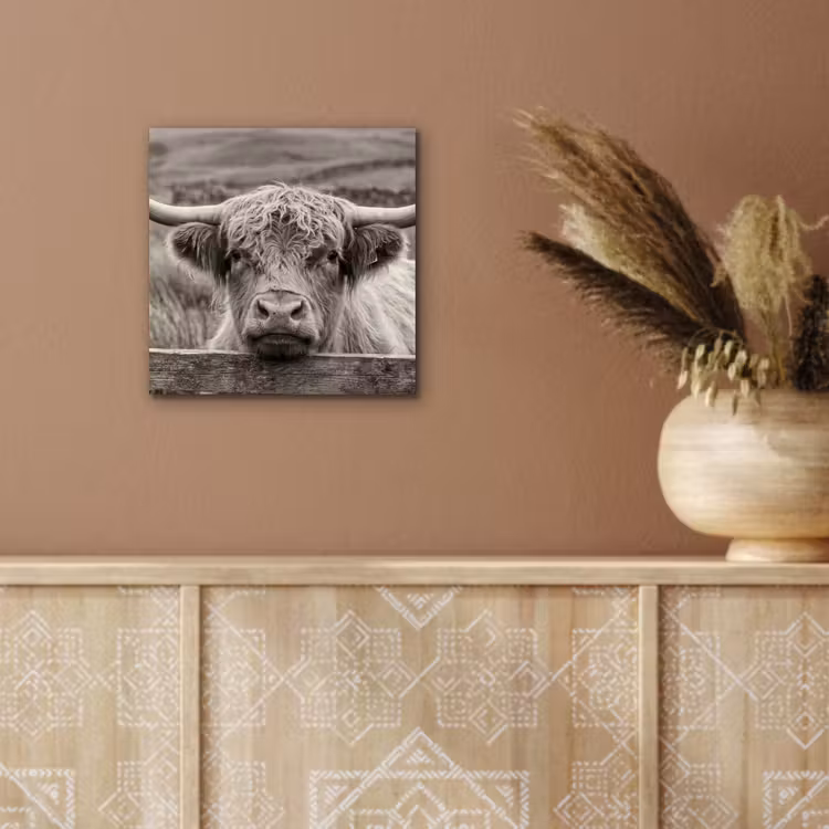 Schotse hooglander - Zwart - Wit - Hout aluminium wit klein -sfeer4