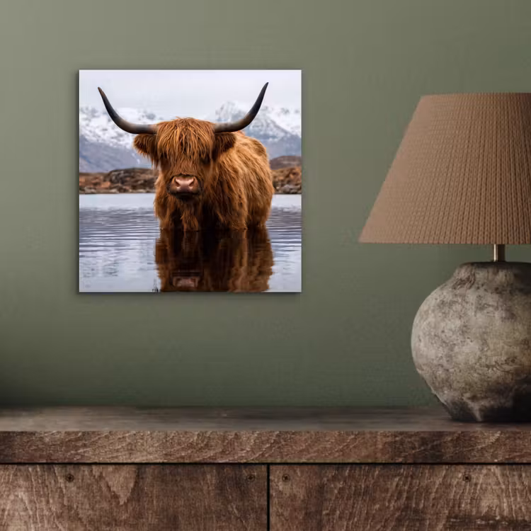 Schotse hooglander - Bruin - Water aluminium wit klein -sfeer2