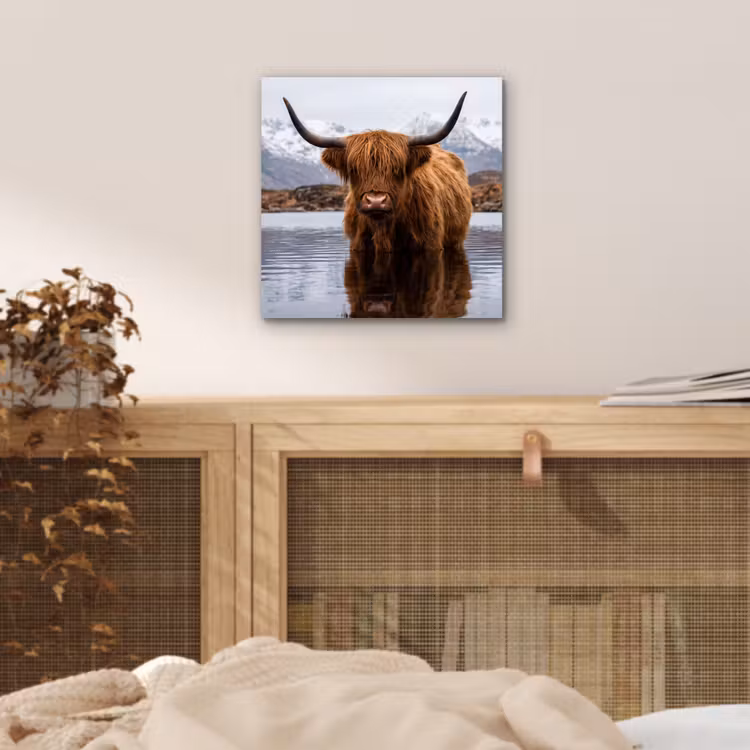 Schotse hooglander - Bruin - Water aluminium wit klein -sfeer3