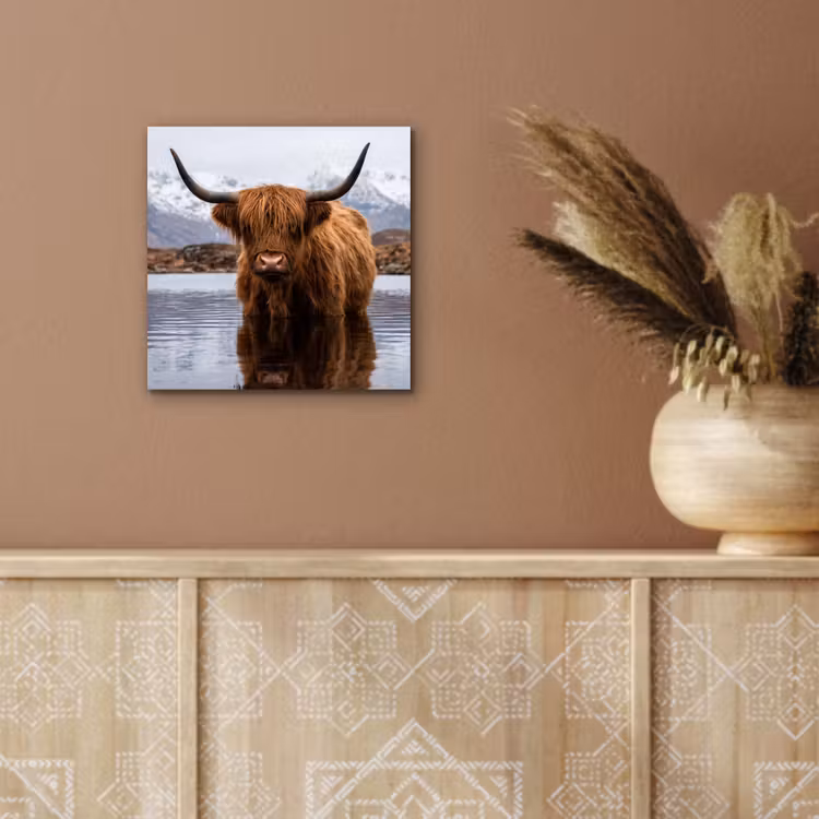Schotse hooglander - Bruin - Water aluminium wit klein -sfeer4