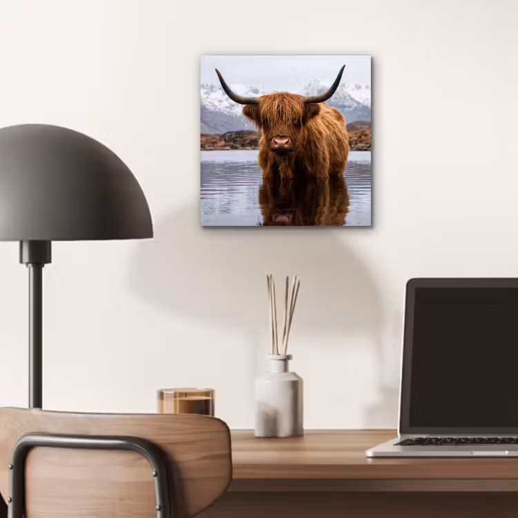 Schotse hooglander - Bruin - Water aluminium wit klein -sfeer5