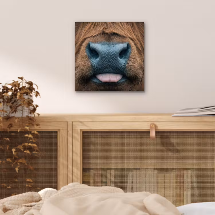 Schotse hooglander - Neus - Bruin aluminium wit klein -sfeer3