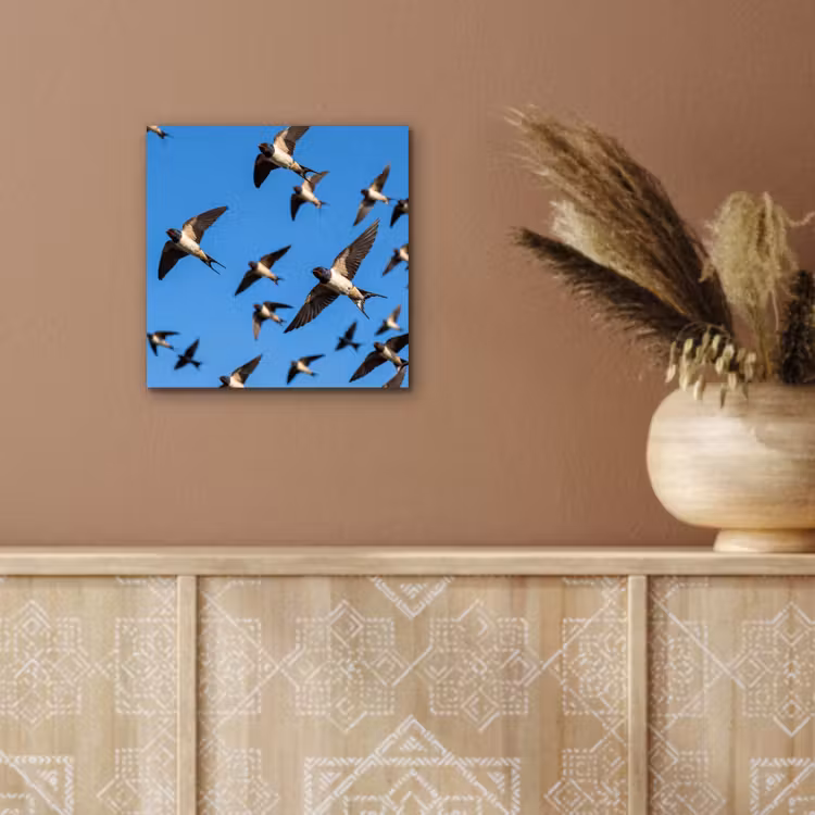 Zwaluwen - Vliegen - Blauw aluminium wit klein -sfeer4