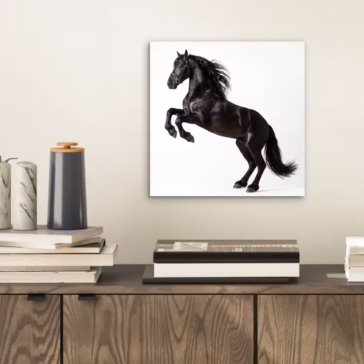 Zwart - Paard - Portret aluminium wit klein -sfeer1