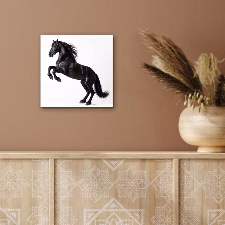Zwart - Paard - Portret aluminium wit klein -sfeer4