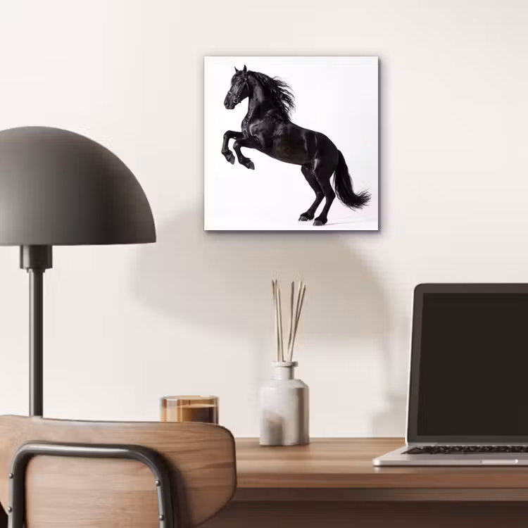 Zwart - Paard - Portret aluminium wit klein -sfeer5