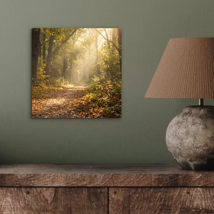 Zonlicht - Bospad - Bomen aluminium wit klein -sfeer2
