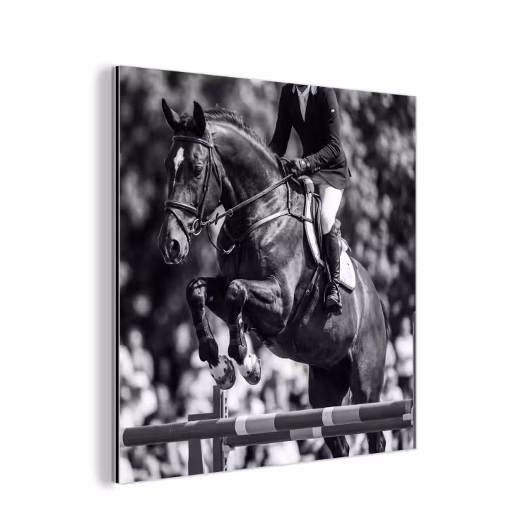 Springen - Paard - Zwart - Wit aluminium wit klein -3d