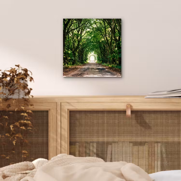 Weg - Bomen - Natuur - Groen aluminium wit klein -sfeer3
