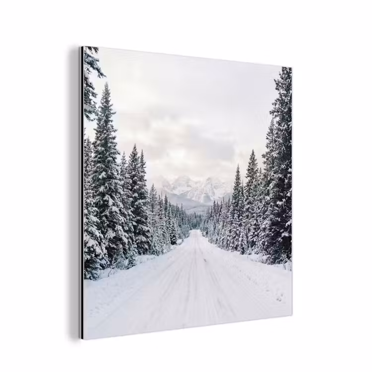 Weg - Sneeuw - Naaldbos - Winter - Avontuurlijk aluminium wit klein -3d