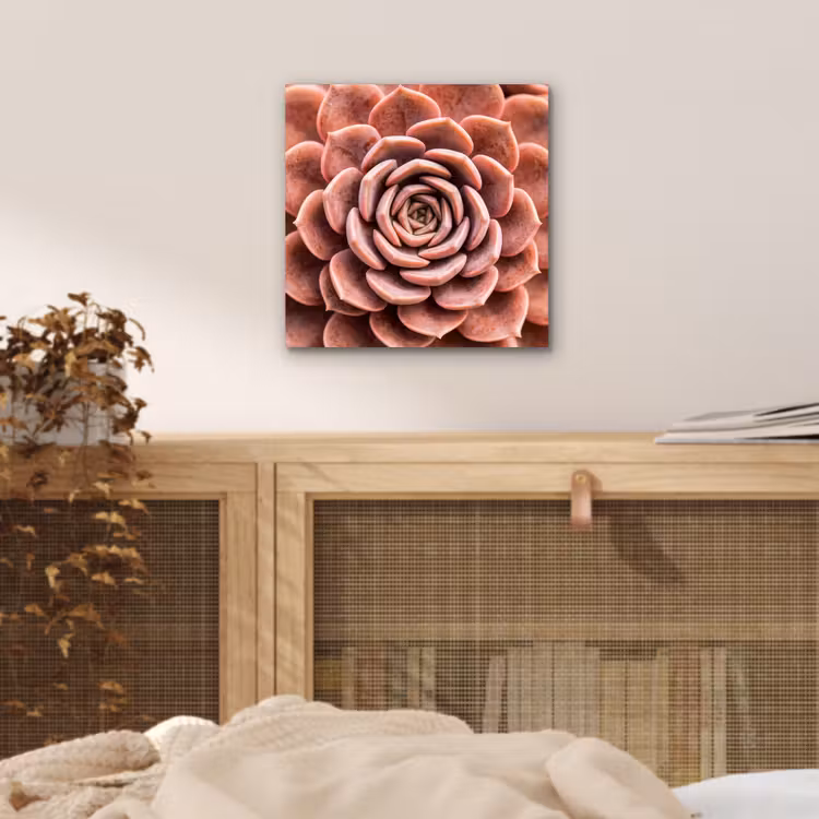 Vetplant - Organisch - Roze aluminium wit klein -sfeer3