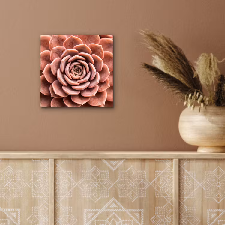 Vetplant - Organisch - Roze aluminium wit klein -sfeer4