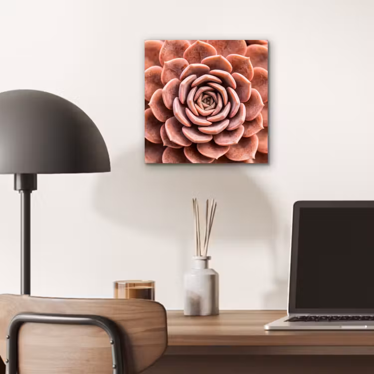 Vetplant - Organisch - Roze aluminium wit klein -sfeer5