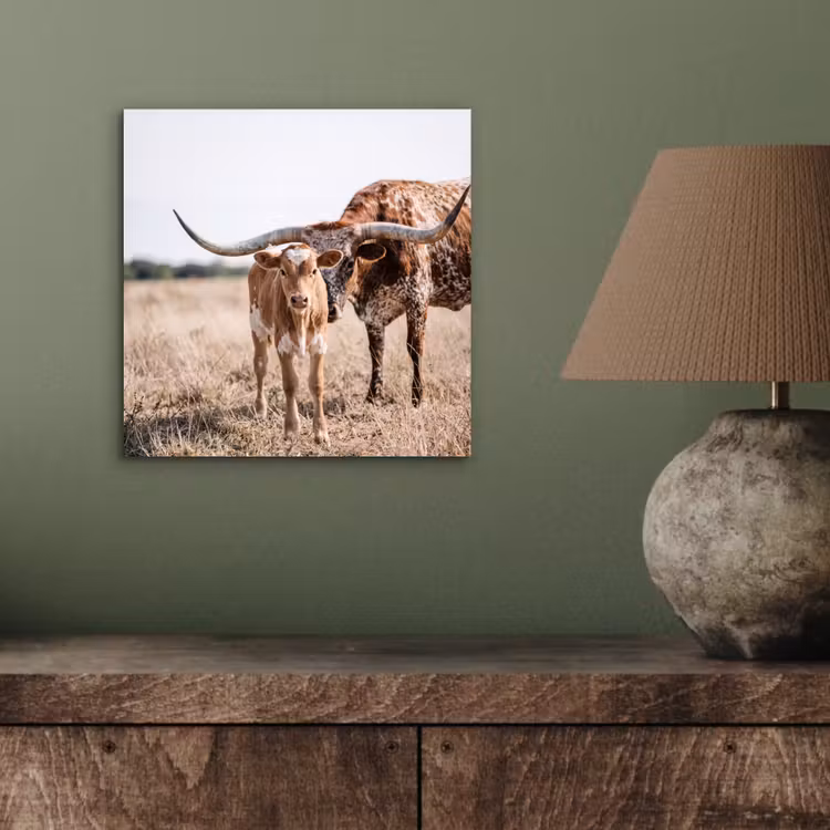 Texas Longhorn - Kalf - Weide - Dieren aluminium wit klein -sfeer2