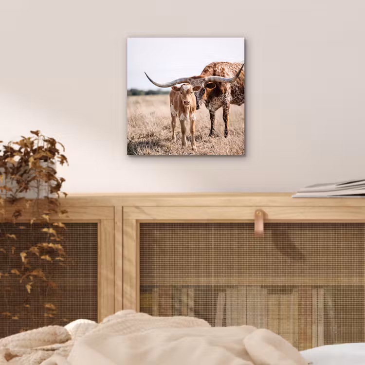 Texas Longhorn - Kalf - Weide - Dieren aluminium wit klein -sfeer3